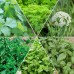 Aromatische collectie #2
